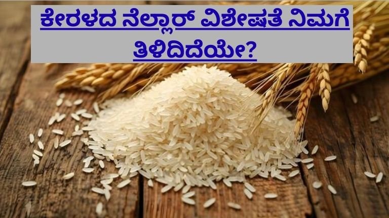 ಕೇರಳದ ನೆಲ್ಲಾರ್ ವಿಶೇಷತೆ ನಿಮಗೆ ತಿಳಿದಿದೆಯೇ?