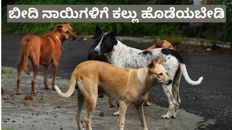 ಬೀದಿ ನಾಯಿಗಳಿಗೆ ಕಲ್ಲು ಹೊಡೆಯಬೇಡಿ