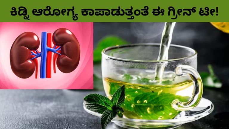 ಕಿಡ್ನಿ ಆರೋಗ್ಯ ಕಾಪಾಡುತ್ತಂತೆ ಈ ಗ್ರೀನ್ ಟೀ!