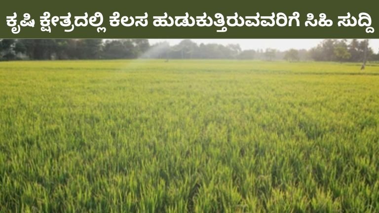 ಕೃಷಿ ಕ್ಷೇತ್ರದಲ್ಲಿ ಕೆಲಸ ಹುಡುಕುತ್ತಿರುವವರಿಗೆ ಸಿಹಿ ಸುದ್ದಿ